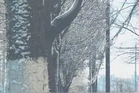 海量图片，帮你留住沈阳最美春雪图片