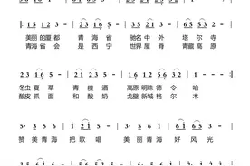 全网超燃音乐推荐《青海之歌》刘音演唱，刘音词曲图片
