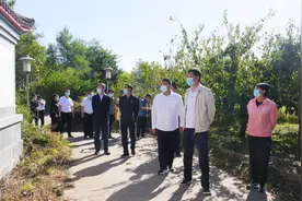 靳国卫调研城北旅游带开发建设强调：发展文旅产业 助推经济振兴 促进群众增收图片