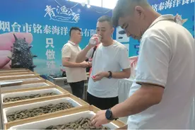 千亿海参产业面临转型升级图片