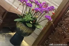 戒指的戴法和意义图片