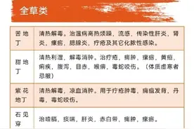 各类中药大全来了，收藏好慢慢看！图片