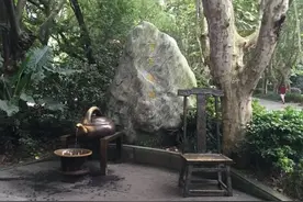 来成都，爱上了人民公园图片