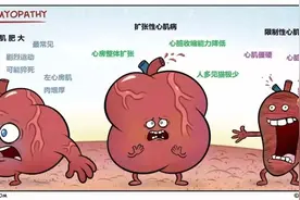 猝死，对猫咪来说何其残忍图片