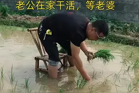 湖南女子出门打麻将，丈夫从早等到晚：她不回，全家没人敢吃饭图片