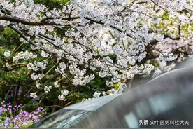 阳道不通，海绵体无力？中医认为不仅仅要通阳气更要补阳气图片