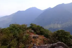 传说中的“龙叫”？深夜山中传出婴儿哭声，男子被吓得一夜没睡图片