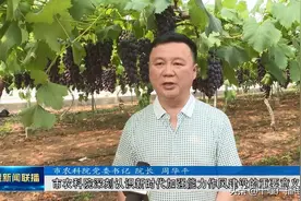 能力作风建设党委（党组）书记访谈之四十一：专访市农科院党委书记、院长周华平图片
