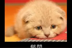 你今天是怎么了？图片