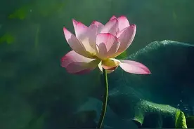 穿越维度空间的神是个啥样，老子的解释图片
