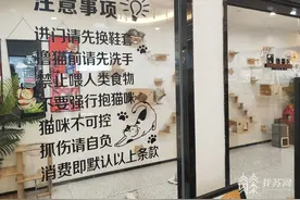 撸猫被抓伤 免责声明真的可以免责吗？|解忧帮图片