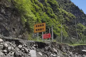 自驾西游记 第七回：风尘泥泞颠簸路，神树金面三星堆图片