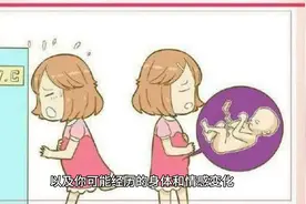 各个孕期阶段都会有哪些身体及心理变化，快来跟我一起了解...图片