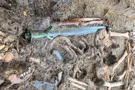 3000年前的青铜剑出土，专家：几乎还在发光！背后故事惊人图片