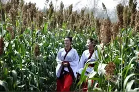 产业建强 生态建美 文化建名——河南省夏邑县罗庄镇武装部以二十大精神为牵引助推乡村振兴图片