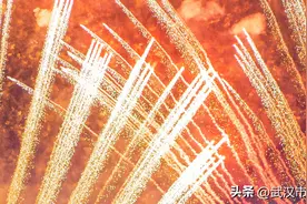 武汉仅此一处！白天看花，晚上看烟花图片
