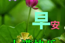 5.21非常喜庆美女小满早上好问候表情包带暖心温馨早安祝福语图片