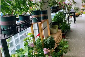 没想到，阳台还能这样设计？真是一个比一个“高能”图片