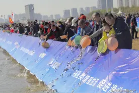 科学放流指南 |（二）淡水主要增殖放流经济物种（区域性物种）有哪些？图片