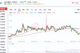 一年净利破亿，金川国际(02362)矿山变“金山”？图片