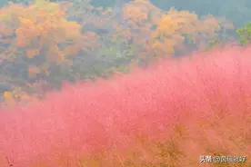 美到让人窒息的英文短句图片