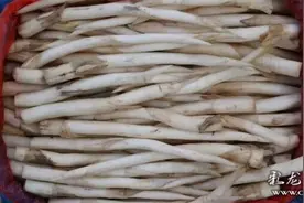 不可错过的“山茅野菜”，有些听都没听过图片