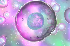 誉嘉|骨关节炎发病机制新探索: 滑膜炎及FLS对骨关节炎有何影响？图片