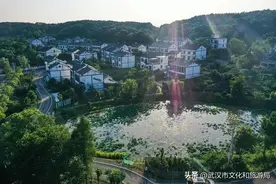 一群艺术家隐居在蔡甸，过起归园田居的生活图片