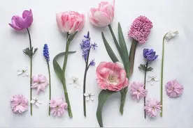 迎新年的简短祝福语图片