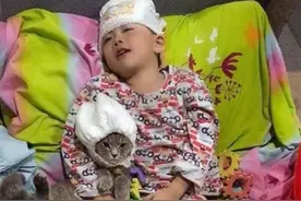 看监控以为猫在扑咬孩子，仔细一看，泪崩了！图片