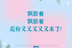 花粉又又又又来了！一组防护知识，转给花粉过敏的TA图片
