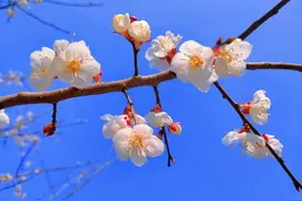 写给亲爱的你：阡陌红尘，爱一人情深，念一人不变，好想你图片