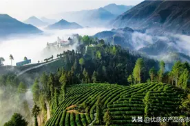 陕西名特优新农产品发展现状与对策图片