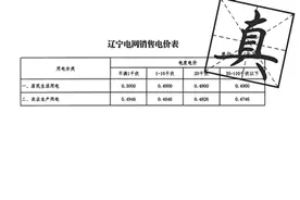 居民电价调整？后半夜洗衣省电钱？甭信图片