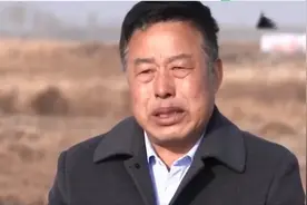 黑龙江大爷养会飞的鹅，被大雁“拐跑”几千只，半年后竟又回来了图片