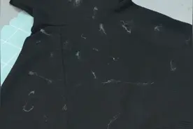 衣服粘毛谁还买滚刷，教你一招，用一个瓶子，衣服像新的一样干净图片