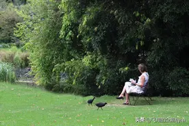 荐读｜对事物的认知深浅，决定视线的宽度图片