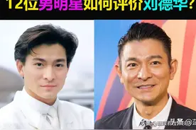 12位顶级男星评价刘德华合集：张学友黎明郭富城三大天王怎么说？图片