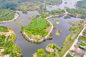 不去不知道一去吓一跳，东莞松山湖这片露营天堂，果真成了香饽饽图片