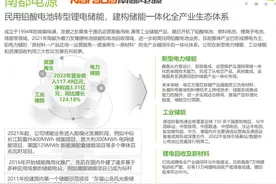储能企业分析-南都电源图片