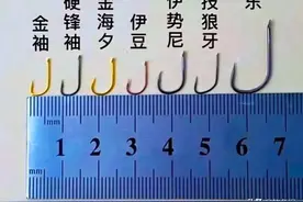 野钓用什么钩能大小通吃？袖钩和伊势尼先排除，这3种尚可一试图片