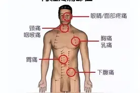 五脏六腑的疼痛区高清图，让你明白身体疼痛都是哪条经络不通？图片