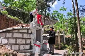 俗语“坟边长竹需迁坟，坟前两物成富人”，暗指什么，两物是啥？图片