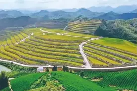 业内专家：生态修复成为新的投资机会图片