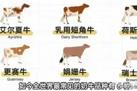 选到便宜又放心的牛奶，看这1篇就够了图片
