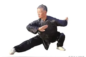 沧县传统武术：门派众多 名家辈出图片