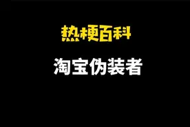 「热梗百科」“​淘宝伪装者”是什么梗？图片
