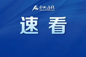 重要隧道！方兴大道下穿巢湖南路即将建设图片