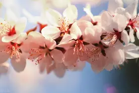 “口不饶人心地善”，话糙理不糙，刀子嘴豆腐心的四大星座图片