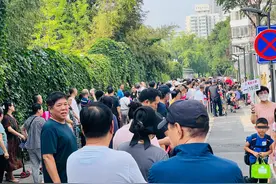 没画线也能停车？胡同可不是执法盲点图片